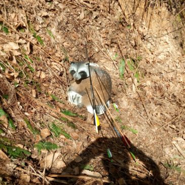 08.04.2018 1. tekma za PTL pokal